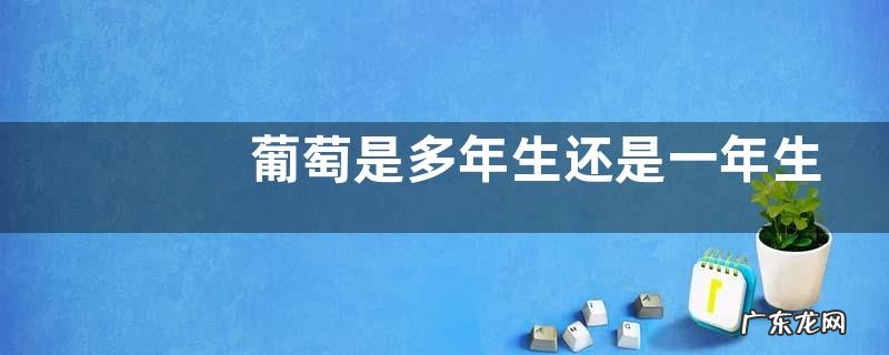 葡萄是多年生还是一年生植物 寿命是几年
