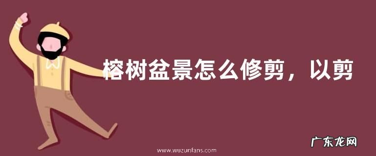 榕树盆景怎么修剪，以剪为主、绑扎为辅