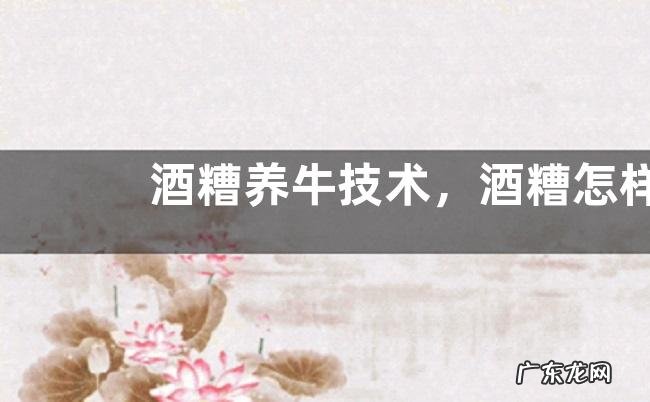 酒糟养牛技术,酒糟怎样储存保鲜