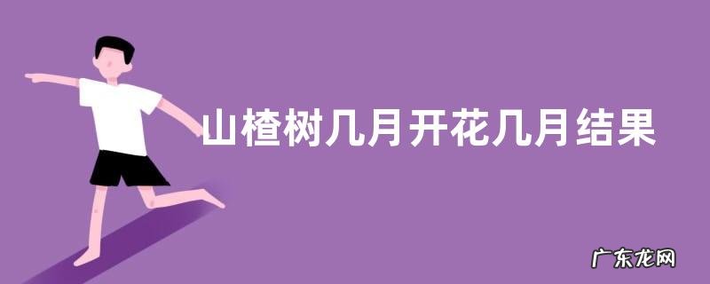 山楂树几月开花几月结果 种几年能挂果