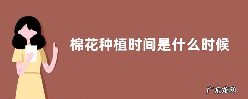 棉花种植时间是什么时候,附棉花的栽培条件