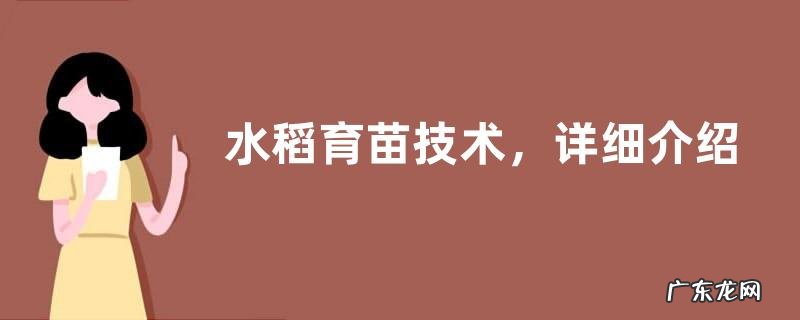 水稻育苗技术，详细介绍