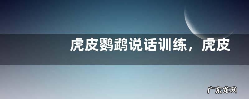 虎皮鹦鹉说话训练，虎皮鹦鹉说话教学准备