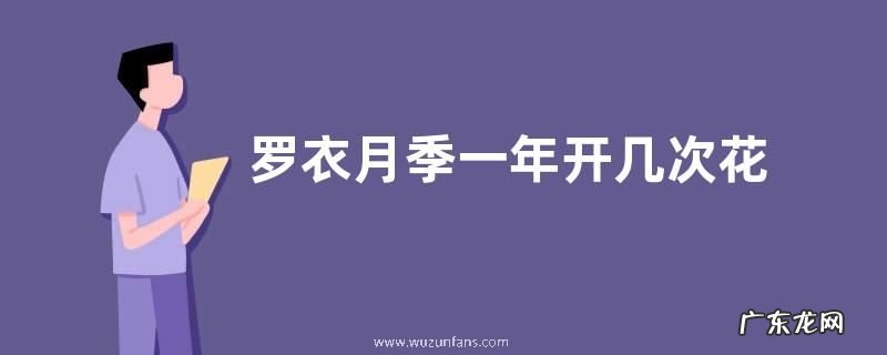罗衣月季一年开几次花 花期在几月