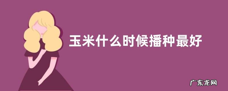 玉米什么时候播种最好