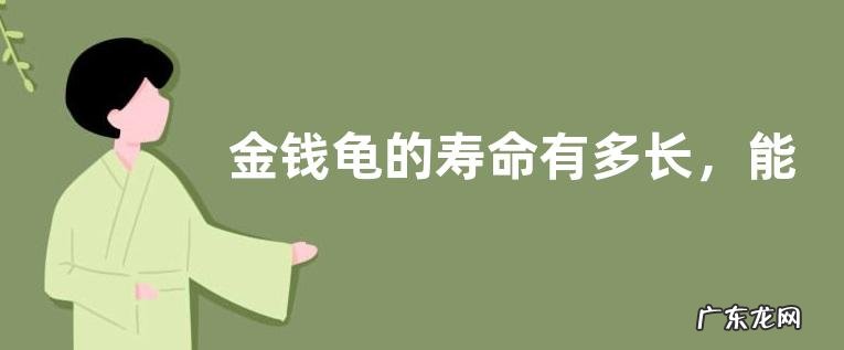 金钱龟的寿命有多长，能长多大