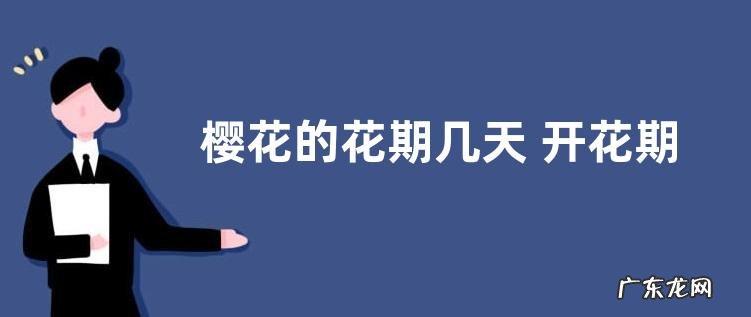 樱花的花期几天 开花期大概几月到几月
