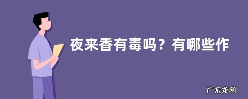 夜来香有毒吗?有哪些作用