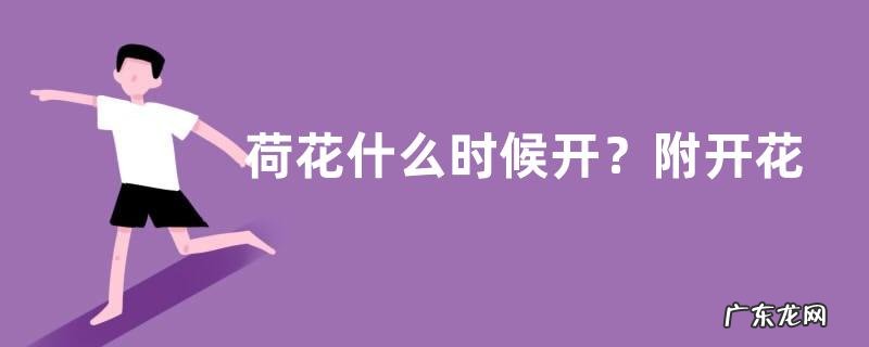 荷花什么时候开?附开花过程及盆栽荷花不开花的原因