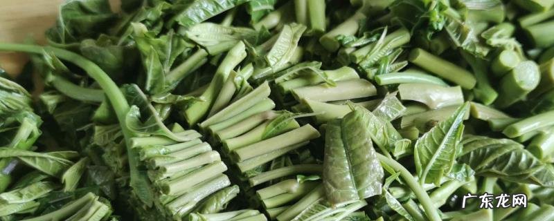 香椿是什么?香椿的产地和作用