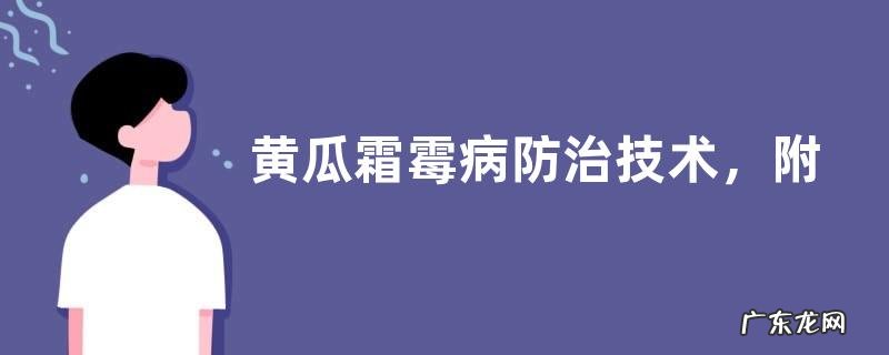 黄瓜霜霉病防治技术，附发病症状和诱发病因