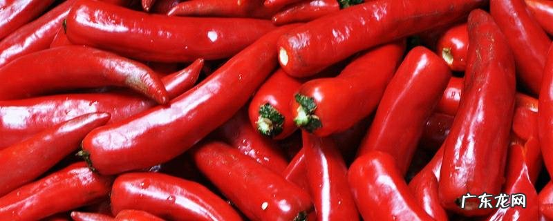 种植鸡泽辣椒赚钱吗?种植有哪些好处