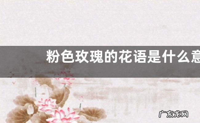 有讲究 粉色玫瑰的花语是什么意思 不能随便送人