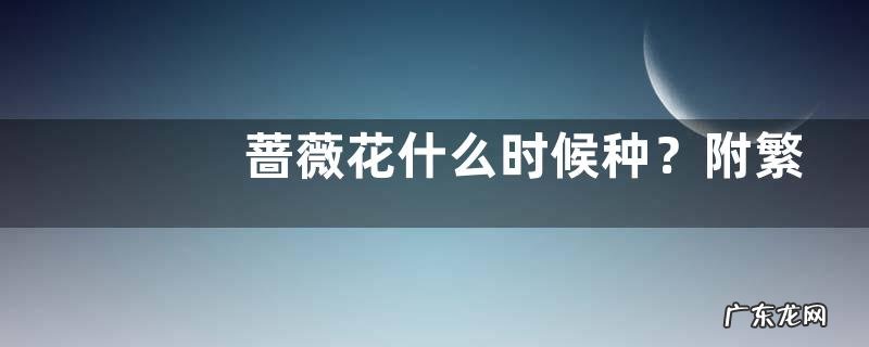 蔷薇花什么时候种？附繁殖方法