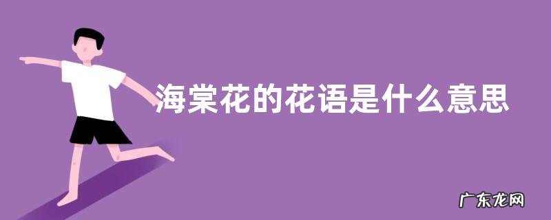 海棠花的花语是什么意思 代表的花语和象征意义