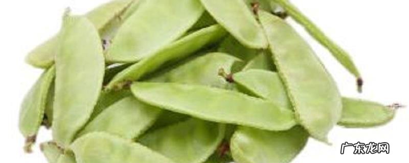 扁豆的种植时间，扁豆的生长习性