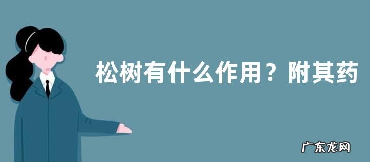 松树有什么作用？附其药用价值