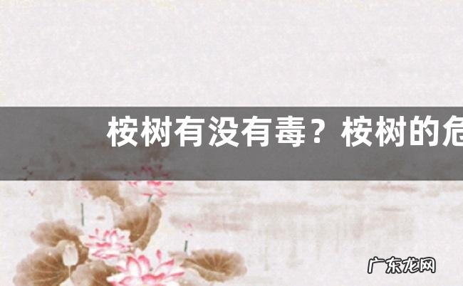 桉树有没有毒?桉树的危害传言