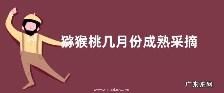 猕猴桃几月份成熟采摘 成熟上市季节是几月份
