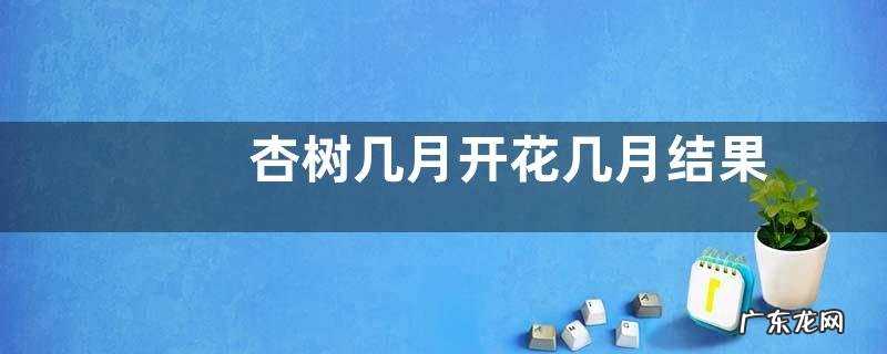 杏树几月开花几月结果 开花结果的时间与积季节
