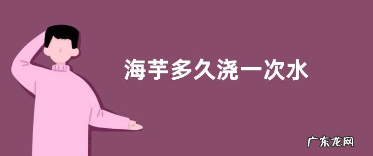 海芋多久浇一次水