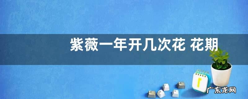 紫薇一年开几次花 花期长达多少个月