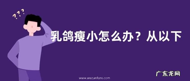 乳鸽瘦小怎么办?从以下六个方面入手