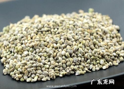 菠菜种子怎么种植方法 播种时间与方法