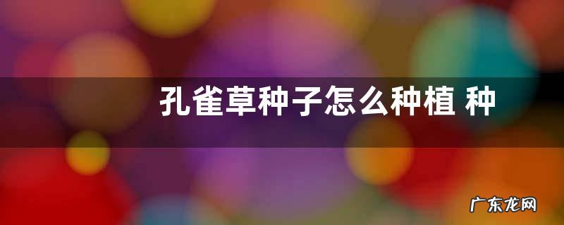 孔雀草种子怎么种植 种植时间与方法全过程