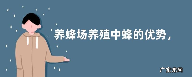 养蜂场养殖中蜂的优势,中蜂比较稳定生产