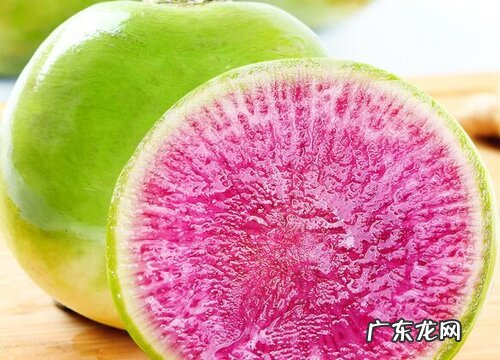 心里美萝卜种植时间和方法