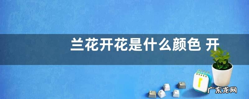 兰花开花是什么颜色 开花是什么样子的