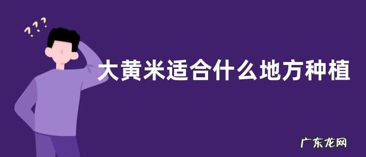 大黄米适合什么地方种植