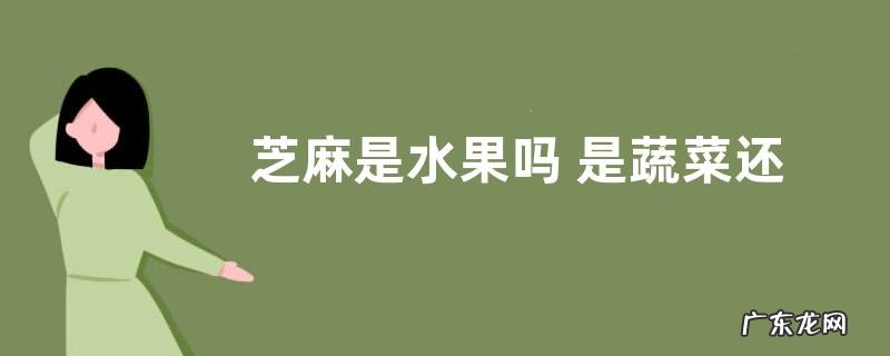 芝麻是水果吗 是蔬菜还是水果