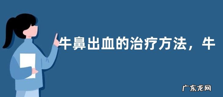 牛鼻出血的治疗方法,牛鼻出血的原因和症状