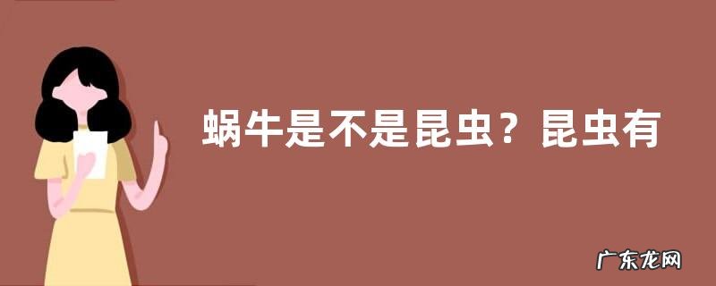 蜗牛是不是昆虫?昆虫有哪些特征
