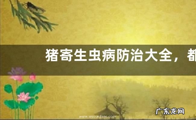 猪寄生虫病防治大全,都有什么症状