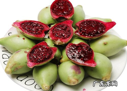 仙人掌几月份开花结果 多长时间结果