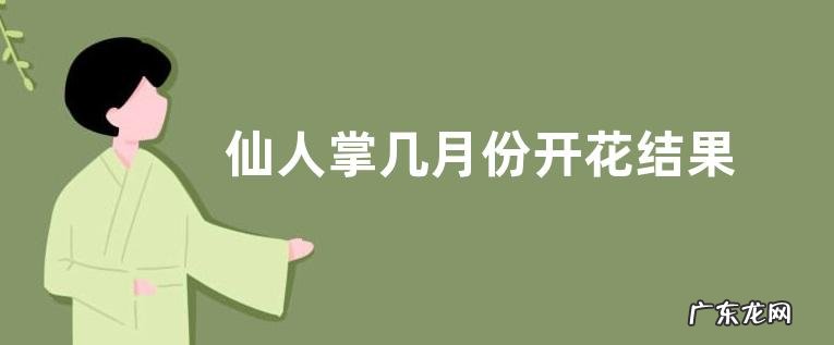 仙人掌几月份开花结果 多长时间结果