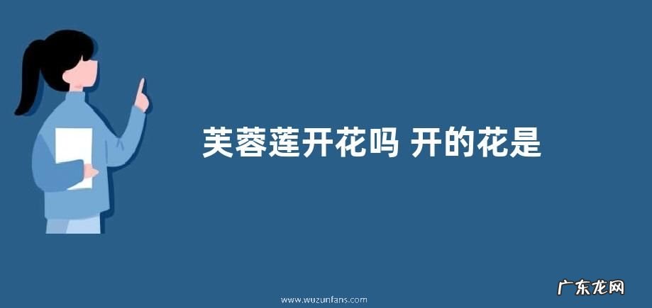 芙蓉莲开花吗 开的花是什么样的