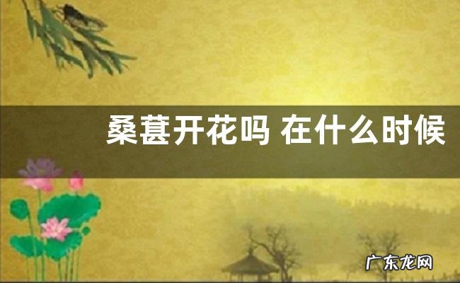 桑葚开花吗 在什么时候开花