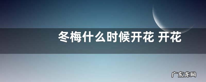 冬梅什么时候开花 开花时间是几月