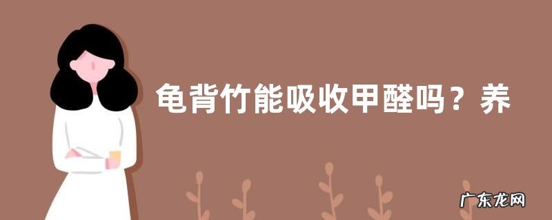 龟背竹能吸收甲醛吗?养龟背竹有什么作用