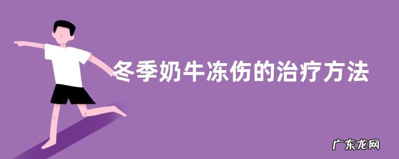 冬季奶牛冻伤的治疗方法,怎样预防冬季奶牛冻伤