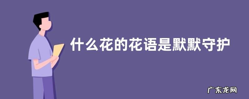 什么花的花语是默默守护的爱