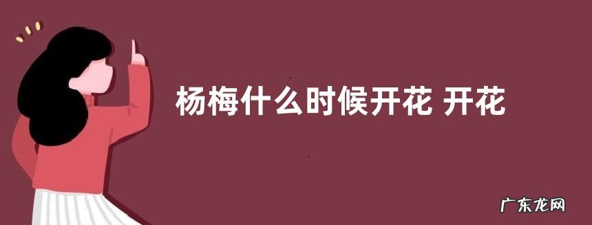 杨梅什么时候开花 开花时间是几月份