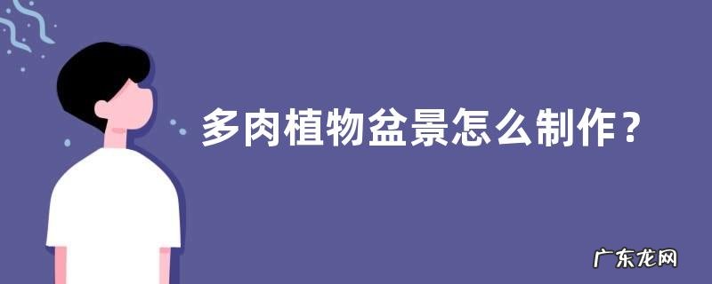 多肉植物盆景怎么制作？附多肉植物盆栽的常见模式