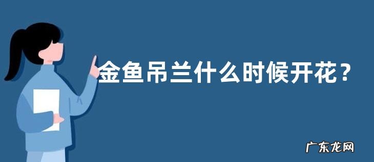 金鱼吊兰什么时候开花?为什么不开花?怎么养才开花