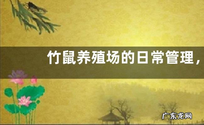 竹鼠养殖场的日常管理，附注意事项