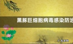 黑豚巨细胞病毒感染防治技术，附病原